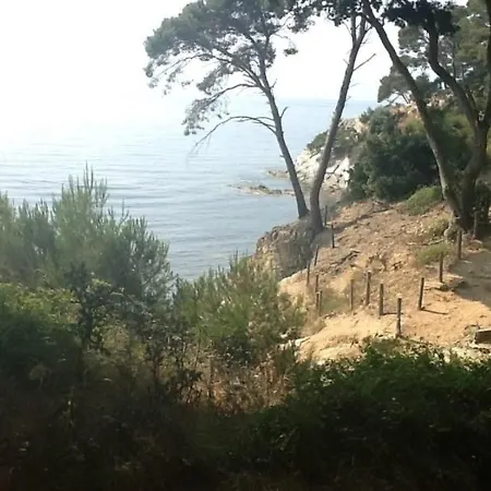 Park Apartament *